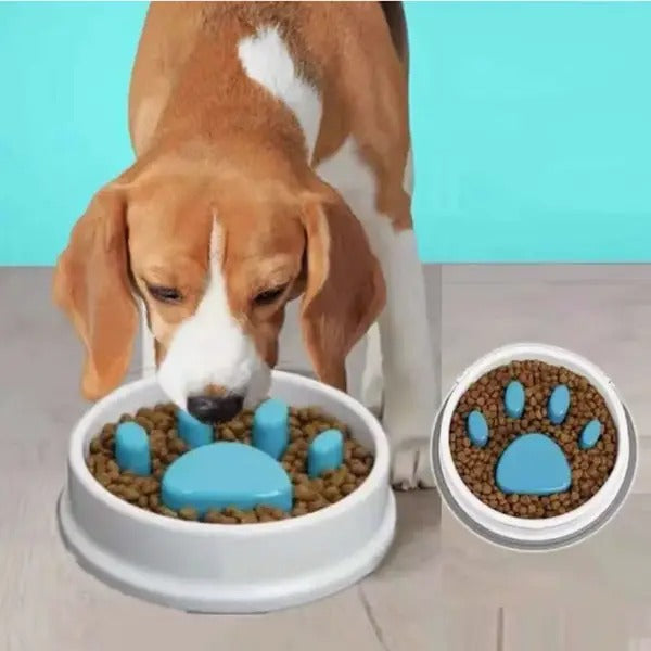 COMEDERO PARA MASCOTA
