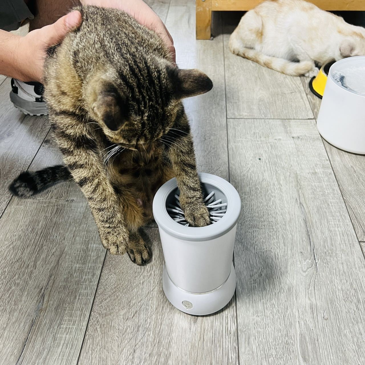 LIMPIADOR DE PATAS PARA MASCOTAS